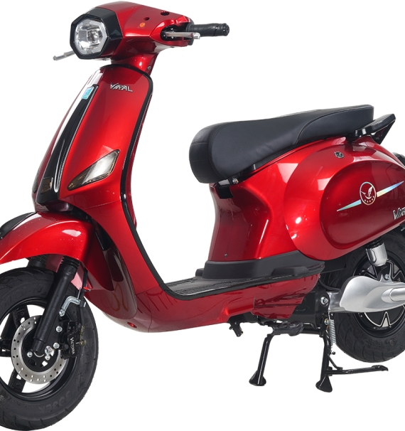 Xe Máy Điện Victoria Viral Việt Nhật Thế Hệ Mới