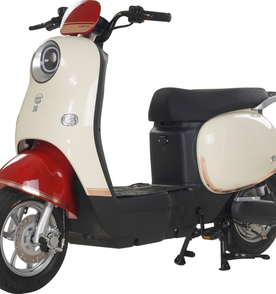 Xe Đạp Điện Dibao Rosa Thế Hệ Mới (Đầy Đủ Giấy Tờ)