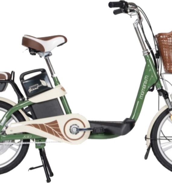 Xe Đạp Điện Giant L-830R