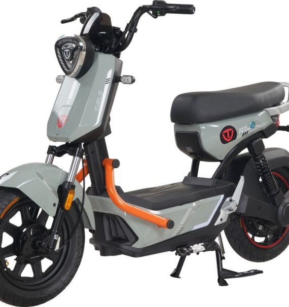 Xe Đạp Điện Tailg GX30 Xbull Chính Hãng (Đầy Đủ Giấy Tờ)